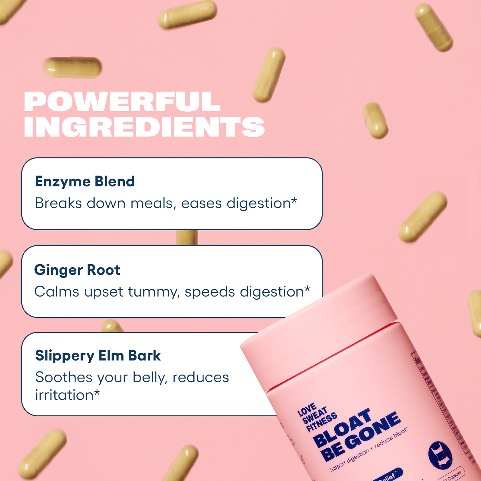 De-Bloat On The Go Bundle